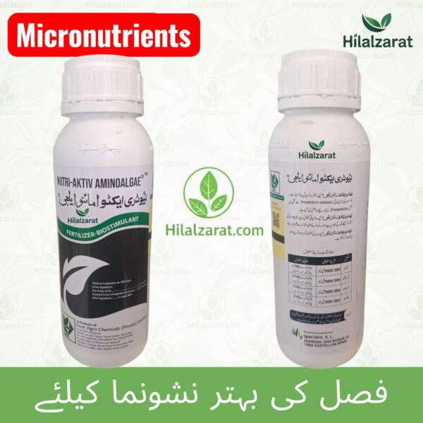 Amino Acid Aminoalgae